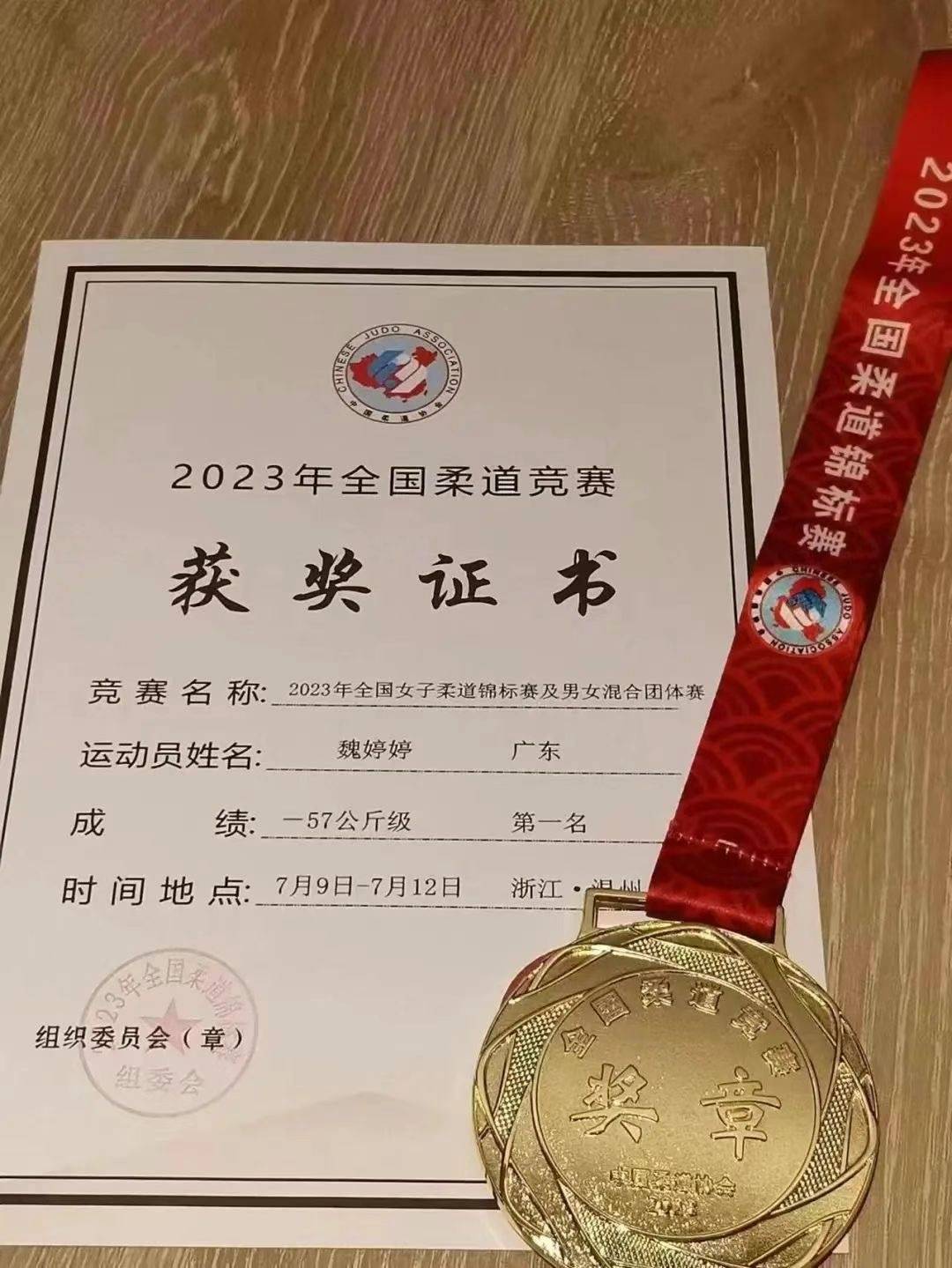 德国选手在柔道比赛中获得铜牌