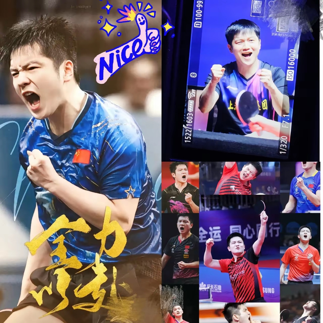 德国队横扫葡萄牙队,樊振东高光表现 德国队横扫葡萄牙队,樊振东高光表现