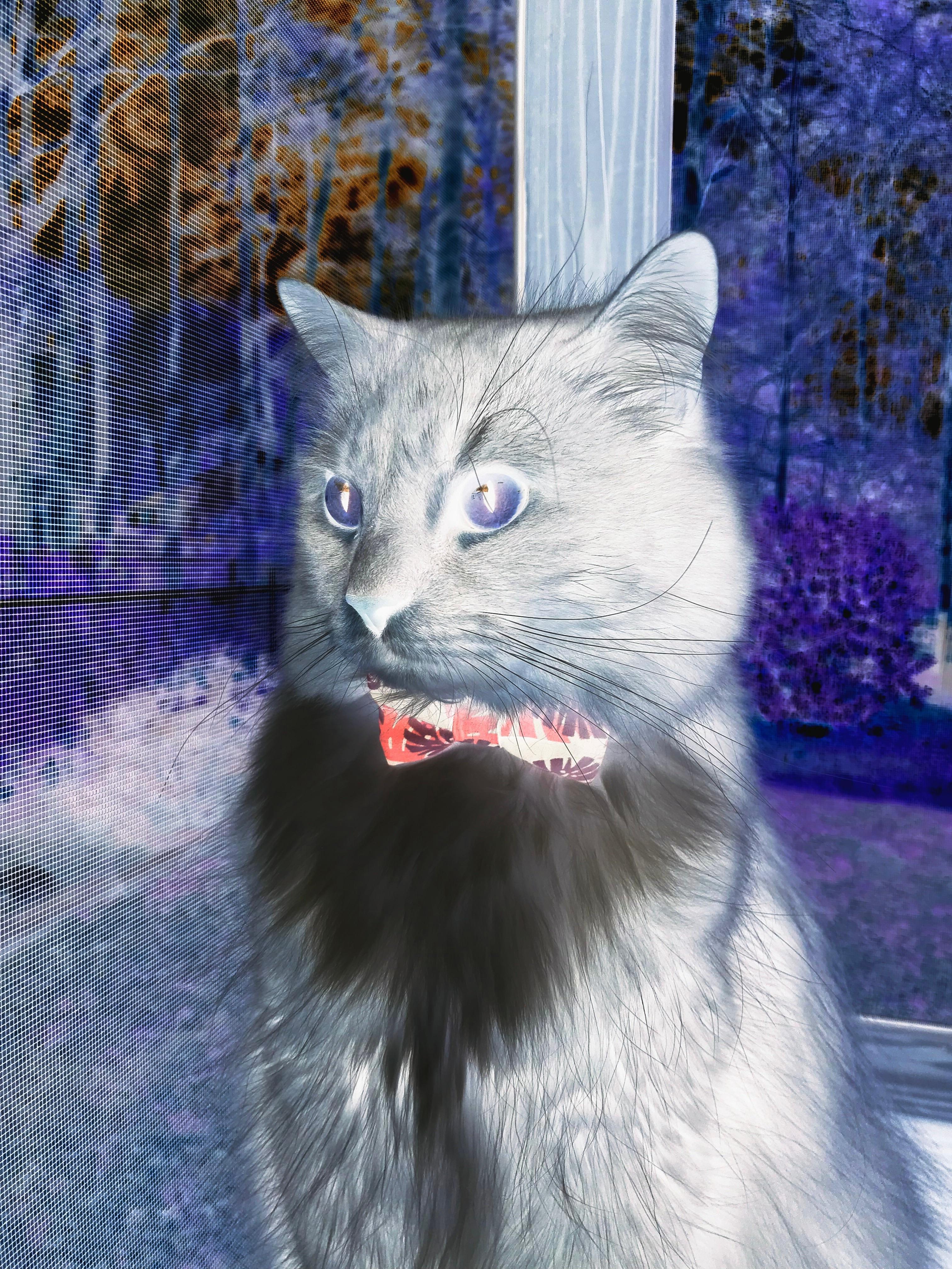 欧冠淘汰赛之夜，当福克斯在破碎声中被雕琢成旗手