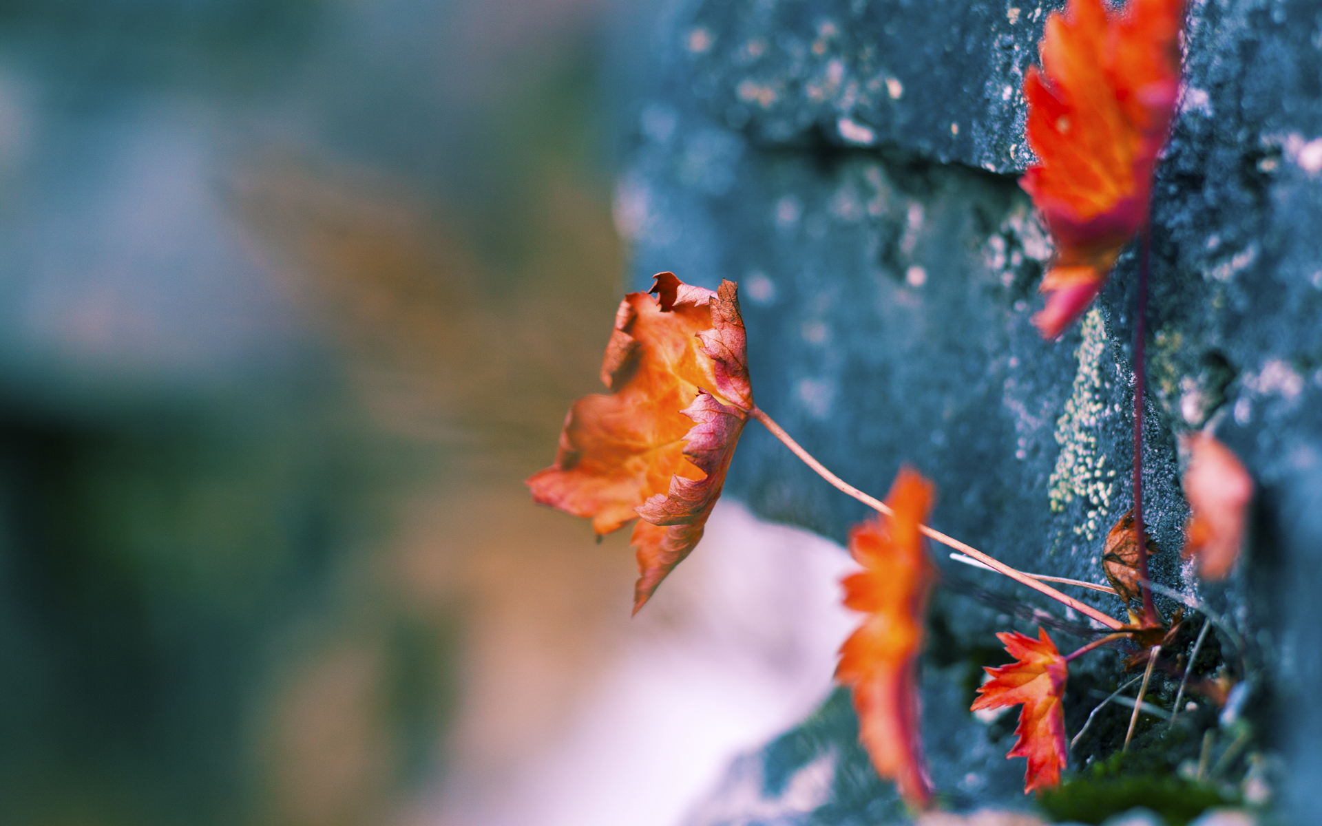 欧冠淘汰赛之夜,三笘薰的刺客与坚盾