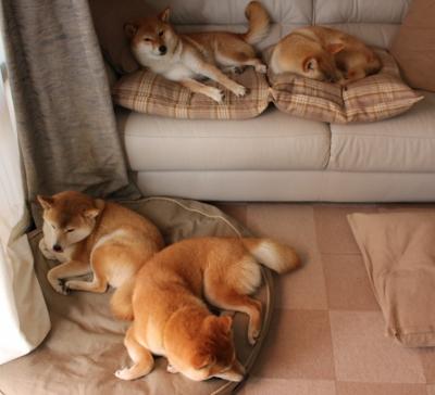 鏖战之巅,字母哥化身关键先生,灰熊加时险胜步行者