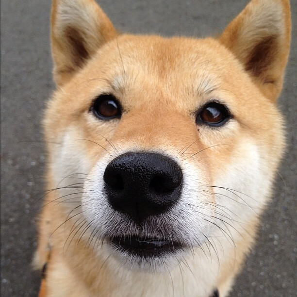 绝境狂澜，西决生死战之夜，哈利伯顿封神全场最佳无争议