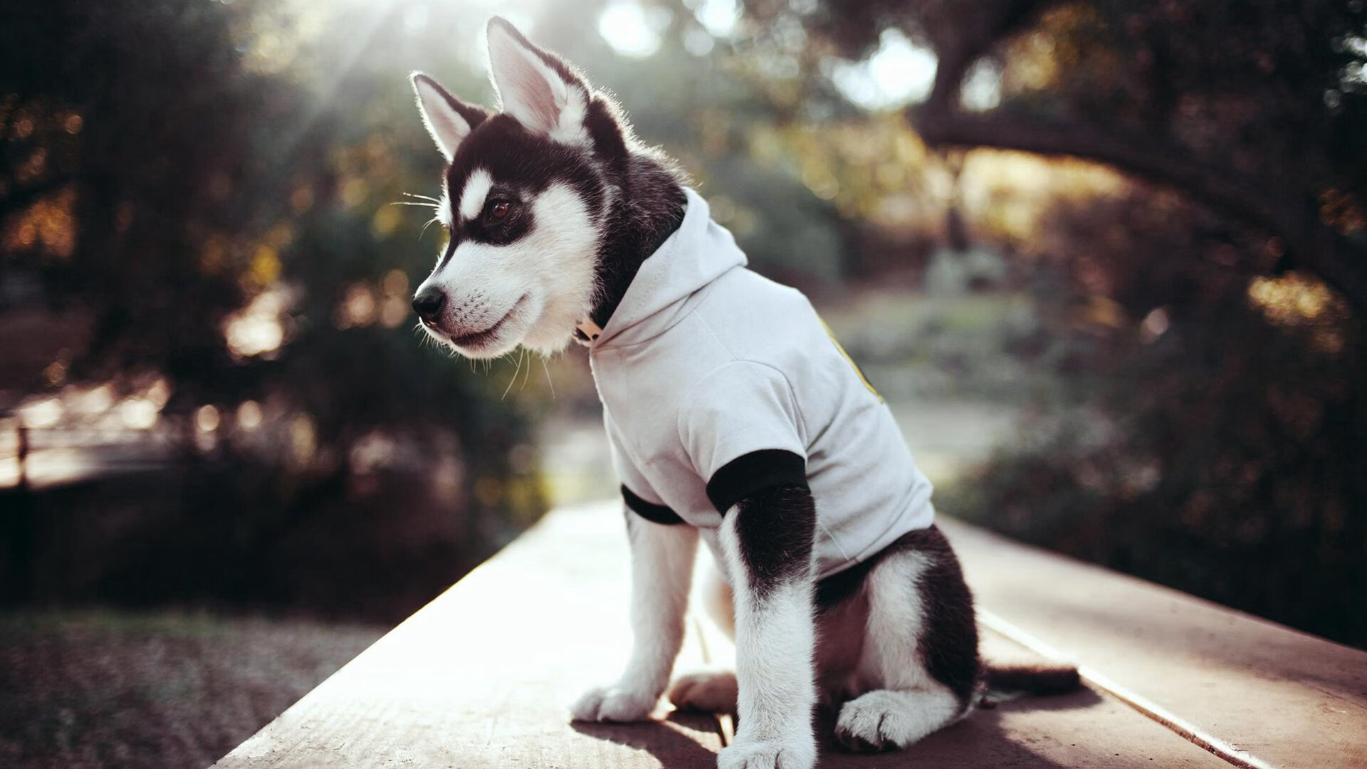 伦纳德高效狂砍35分,太阳团队压制力令马刺窒息