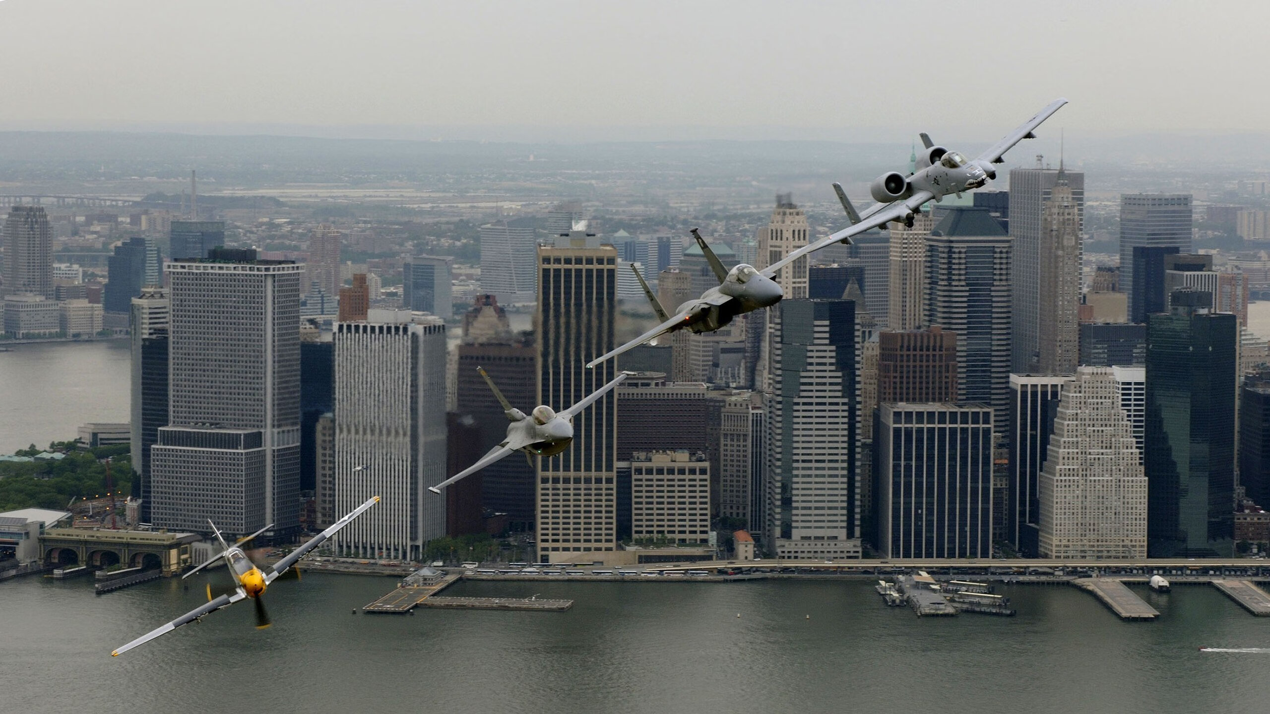 碾碎防线的巨兽!灰熊惊险撕咬公牛过关