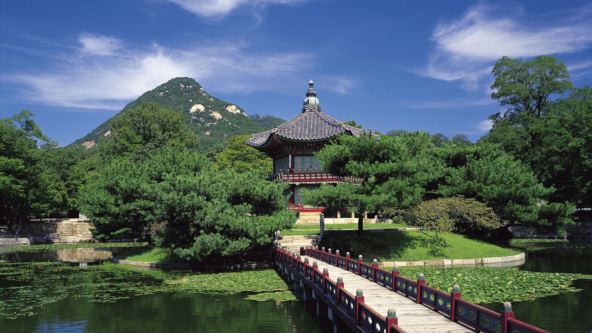 希腊铁血防线击溃里昂,中场绞杀令坎特叹息