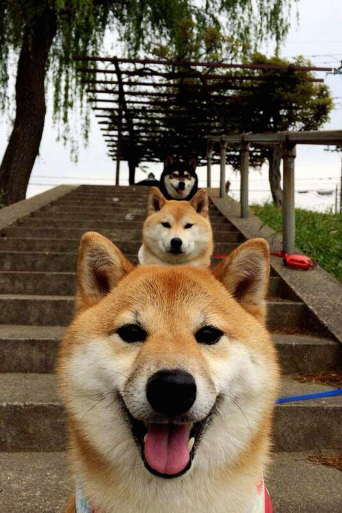 克莱关键先生闪耀，公牛爆冷掀翻森林狼