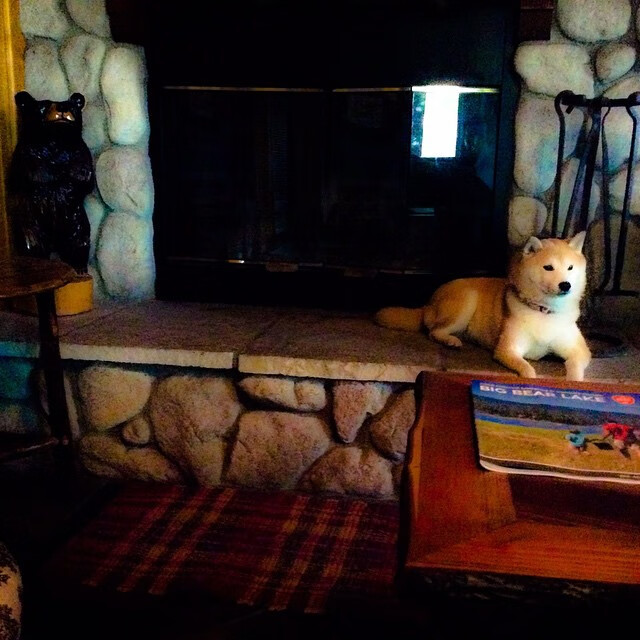 同一周末的两场风暴，当勒沃库森终结拜仁时间，湖人用经验冰封青春雷霆