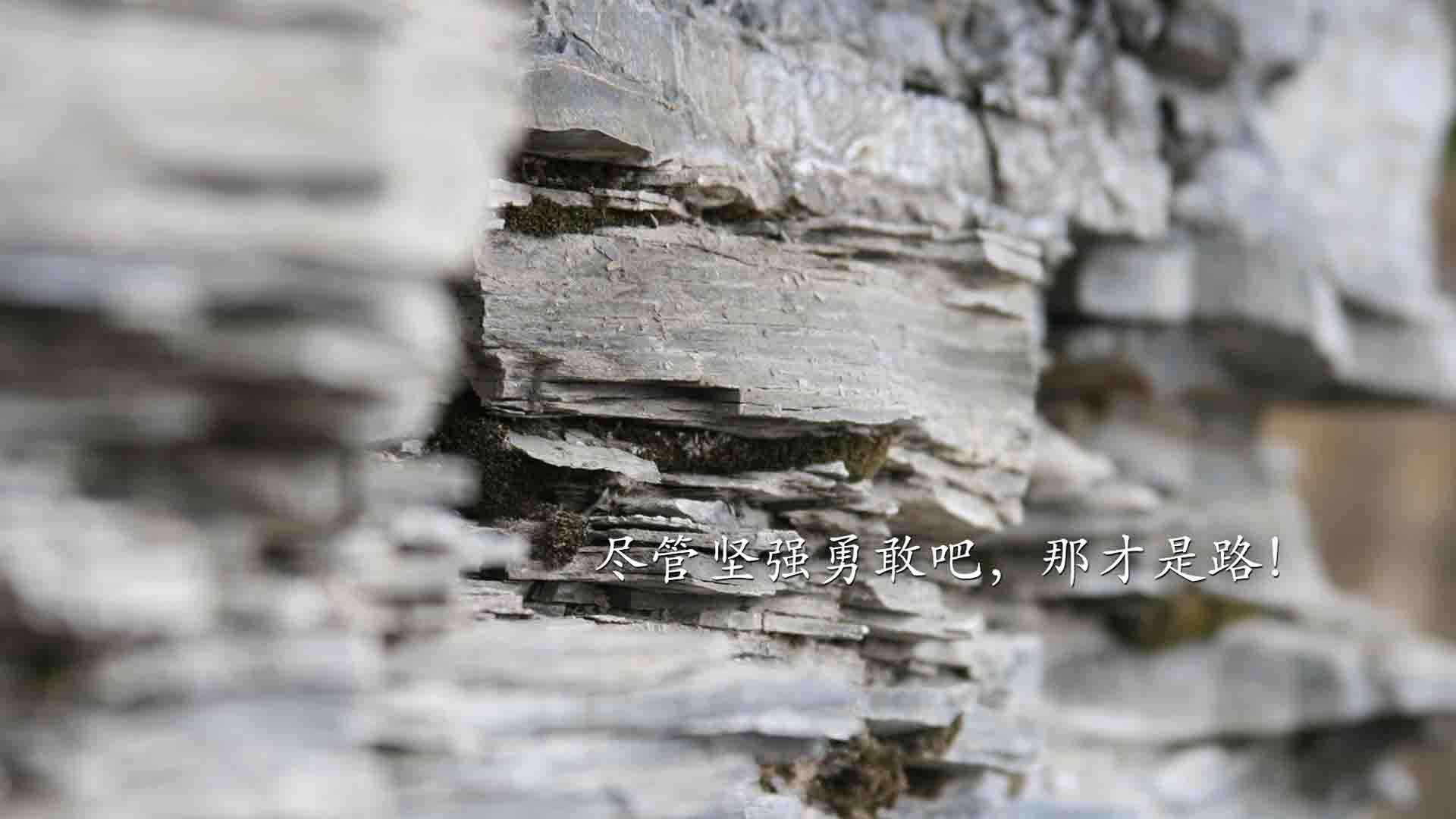 库里化身终极锁匠，公牛铁蹄踏碎森林狼