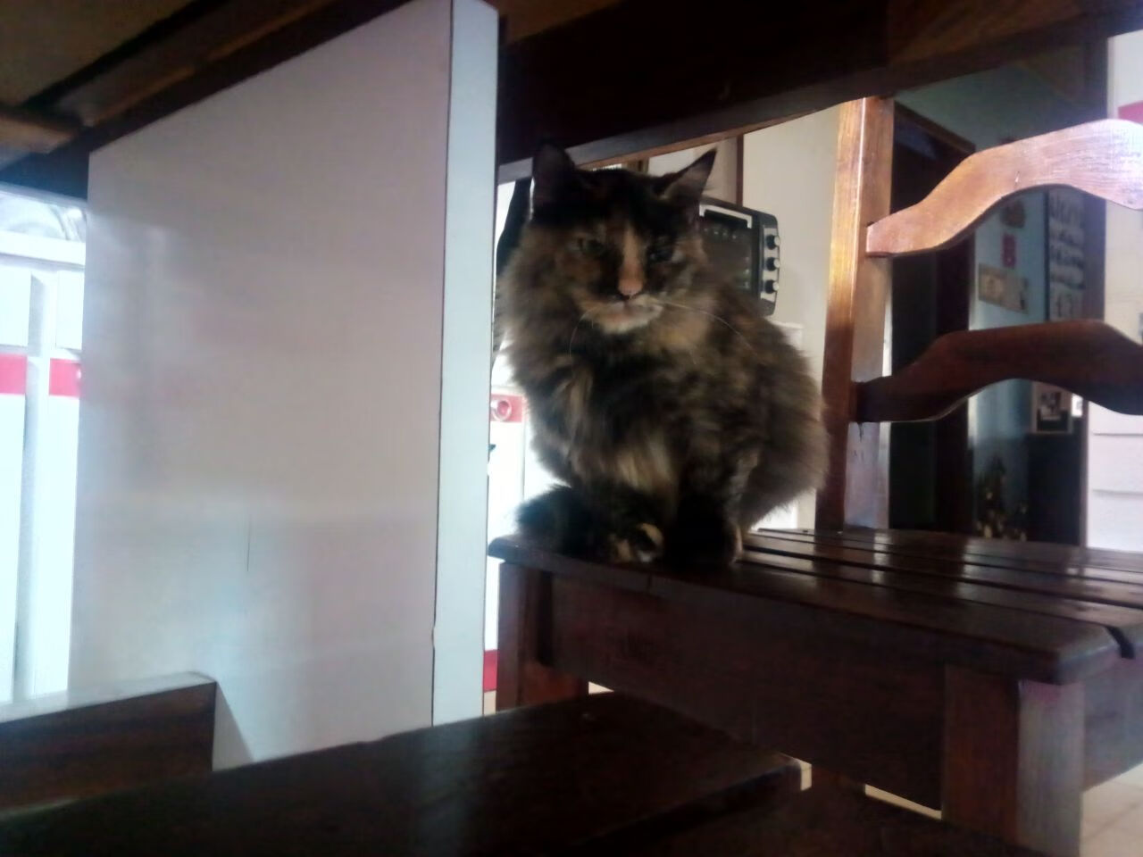 异类对决,哥斯达黎加的顽强壁垒,难抵基米希导演的悬念