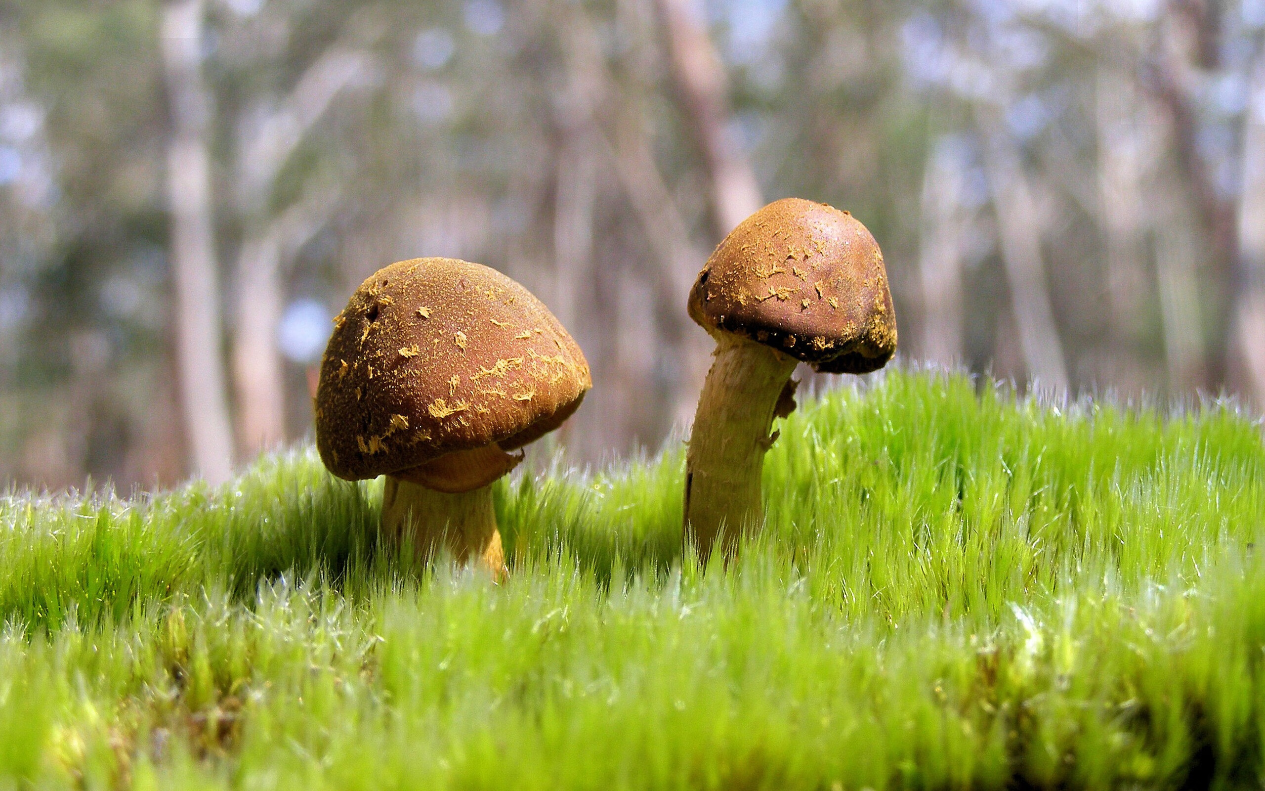 英格拉姆45分统治攻防,快船窒息节奏掐灭爵士反扑火焰