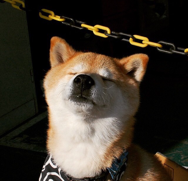 世俱杯时间-爱德华兹单骑轰破天际，76人火力全开碾压鹈鹕防守