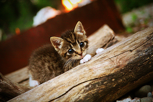 抢七战场，湖人王朝再续辉煌