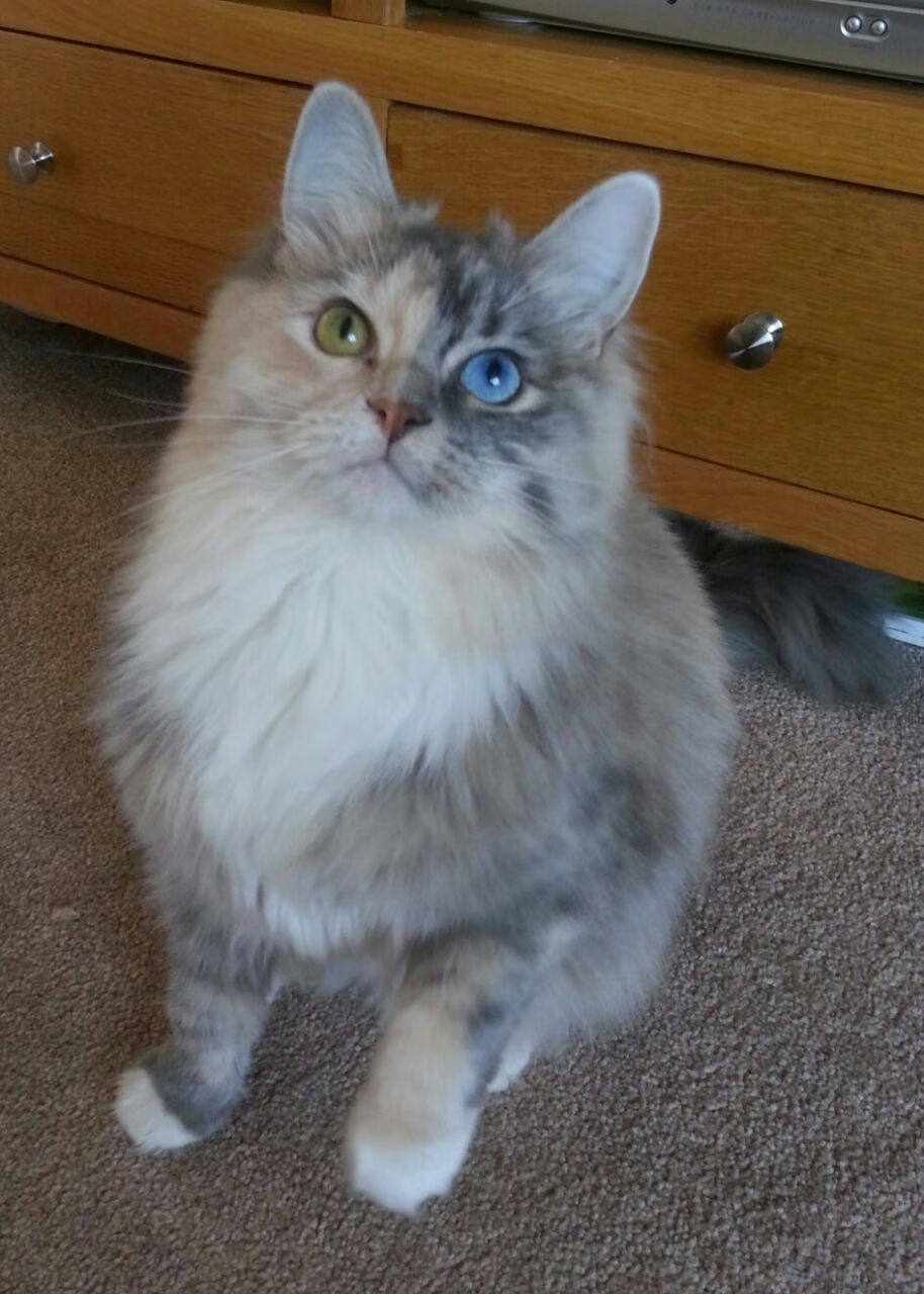 拉梅洛·鲍尔关键4分锁定胜局—雄鹿险胜勇士的背后，新星与巨星的权力交接